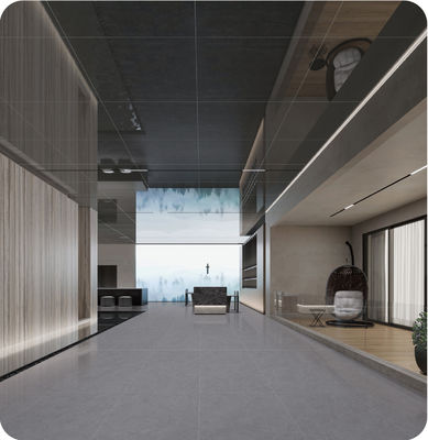 kaufen 600x1200mm Tiefgraue, antibakterielle Porzellanfliese für Innenböden on-line-Fertigung