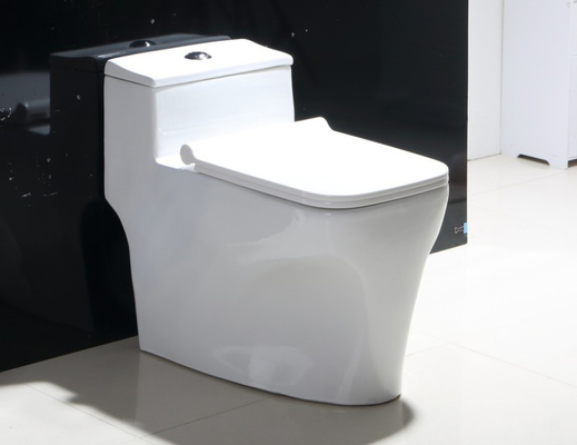 Badezimmer mit zwei Spülungen, randlose Toilette, Bodenmontage
