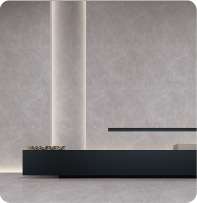 AAA-Qualität, fleckenresistente und antibakterielle graue, matte Porzellanfliese 750x1500mm für Wohnzimmer und Badezimmer