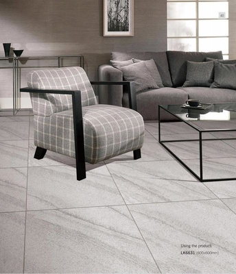 Antibakterielle 600x600mm Vollkörper Porzellanfliesen und graue Außenwandfliesen für Küche und Wohnung