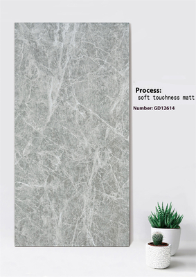 Leichtgrauer Marmor-Look Kratzfest 600x1200mm Weichheit Berührbarkeit Matte Außen Vorhang Wandfliese Für Garten