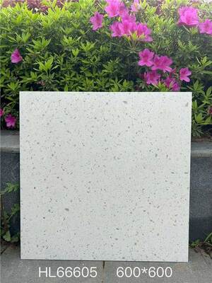 Erstaunliche und stilvolle Beige 600x600mm Innenfußboden Terrazzo Keramikfliesen für das Esszimmer
