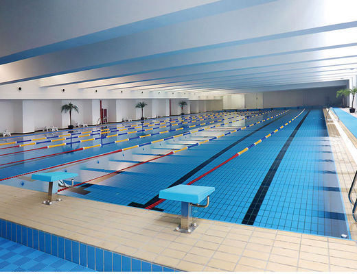 S003 Weg 24kg/Carton keramischer Decking deckt Swimmingpool, 115x240mm glasig-glänzende Rand-Fliese mit Ziegeln
